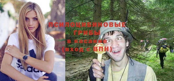 бошки Абдулино