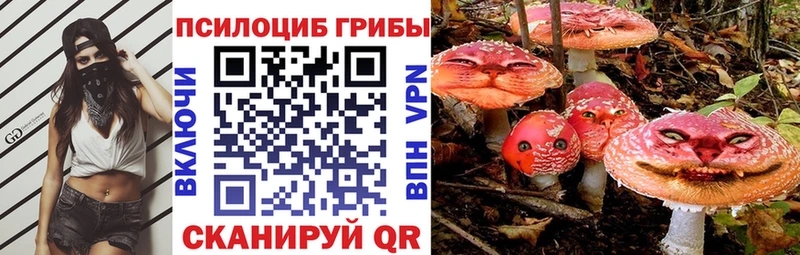 купить  сайты  Зубцов  Псилоцибиновые грибы Cubensis 